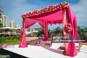 wedding pink canopy